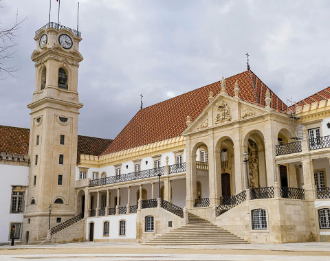 Como obter uma bolsa de estudos?