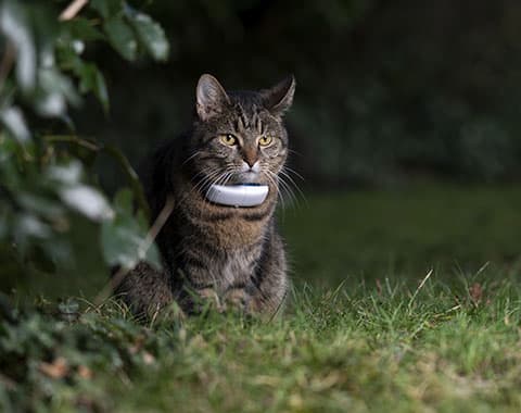 Como funciona e como aplicar?