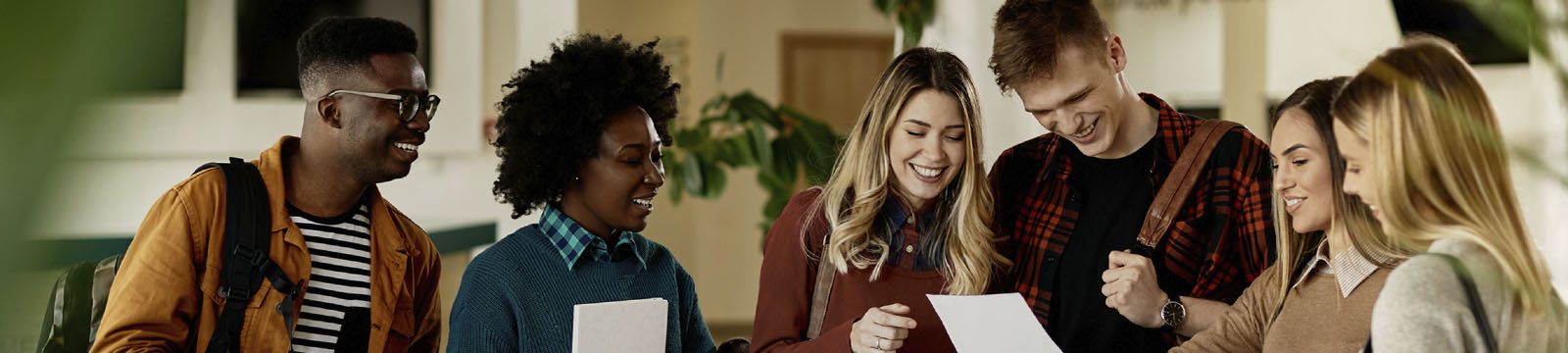 Bolsas universitárias