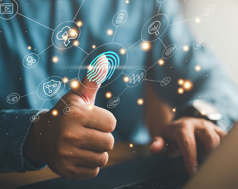 De que se trata e para que servem?