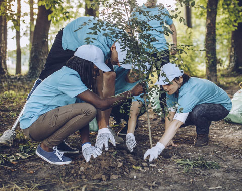 Valorize a comunidade e o currículo