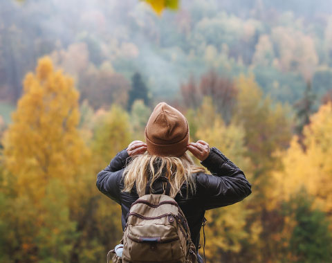 What´s NHR special tax regime