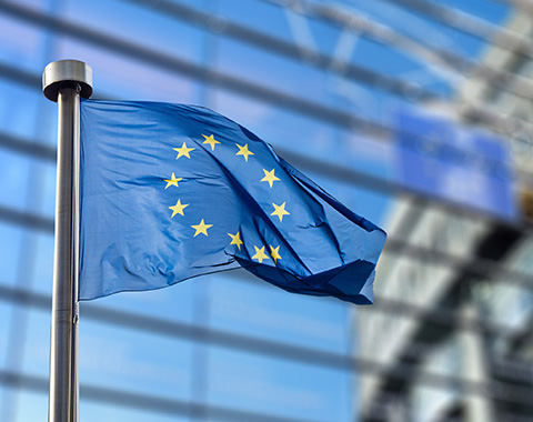 As 10 perguntas essenciais