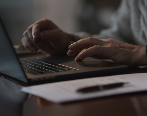 O que distingue cada uma das opções?