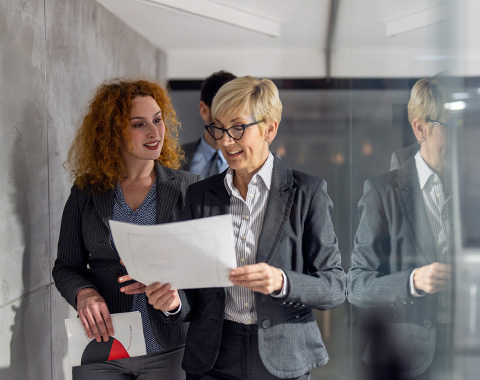 Declarar e minimizar carga fiscal