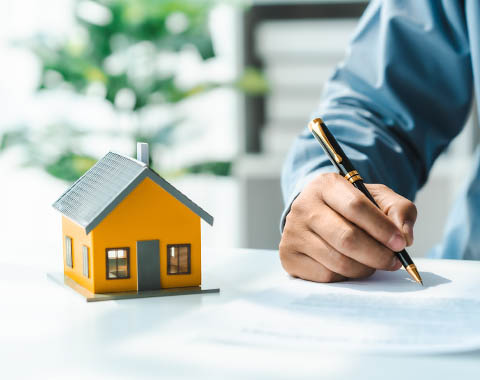 Como consultar e quando?