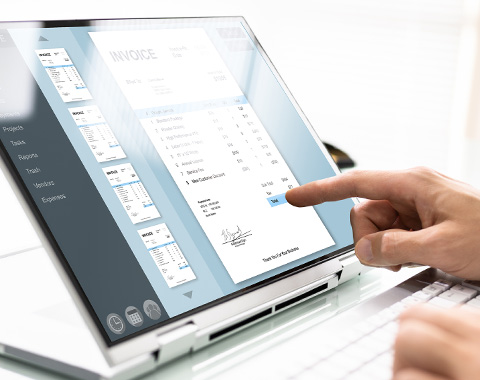 Descubra como aproveitar