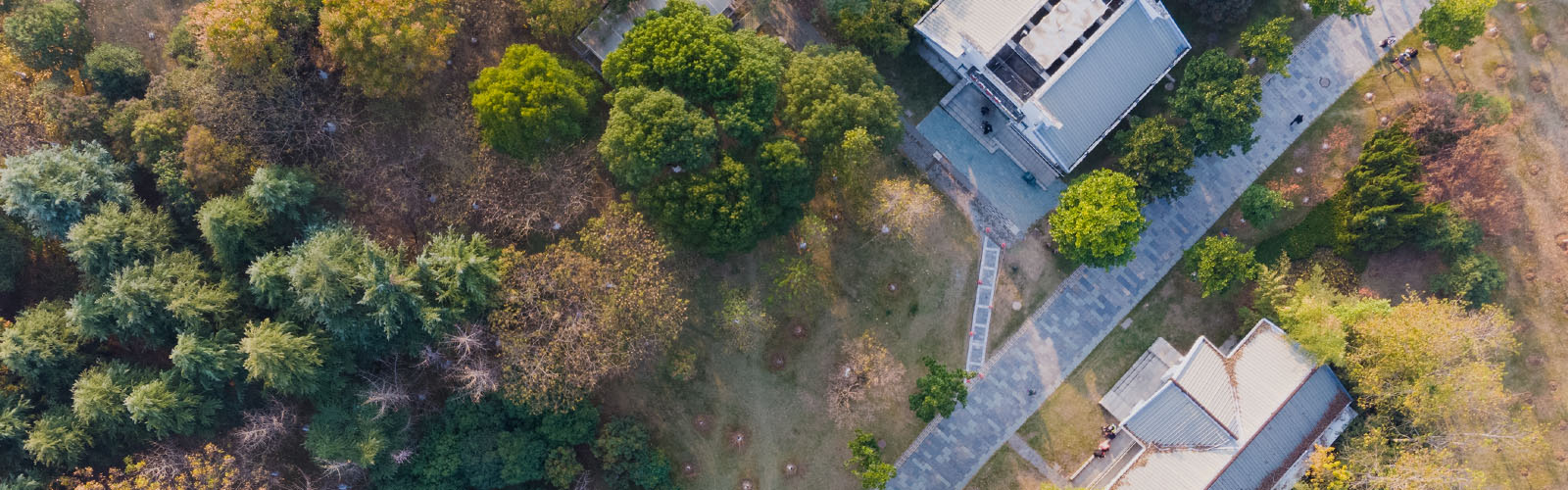 localizar e registar terreno gratuitamente