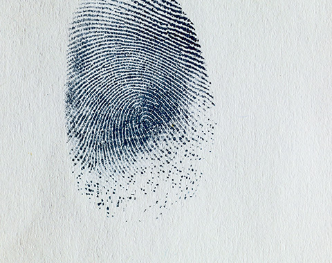 Cuide bem dos seus dados pessoais