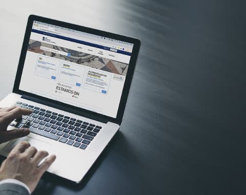 Como proceder para cada rendimento?