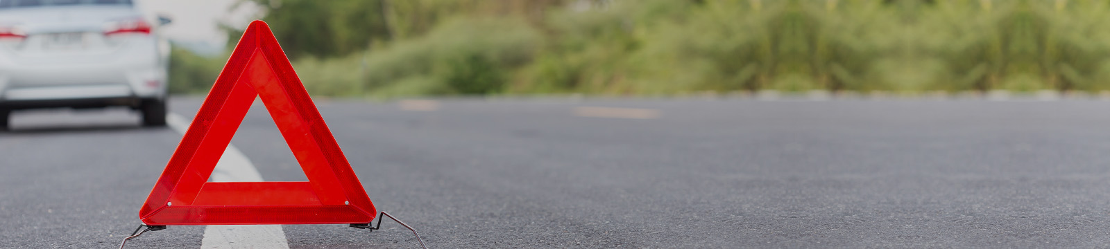 Enviar viatuas para abate: como fazer