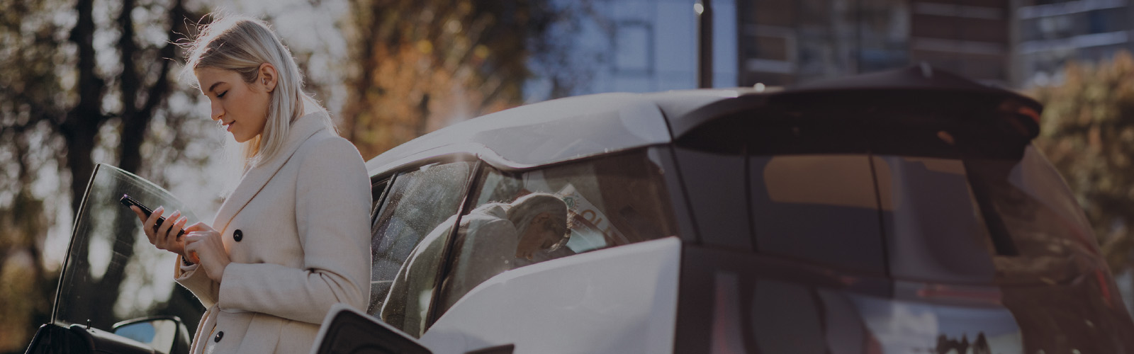 Quanto vai pagar de IUC