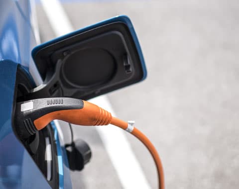 Quais os incentivos para este ano?