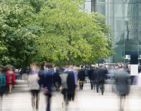 O critério ambiental é importante