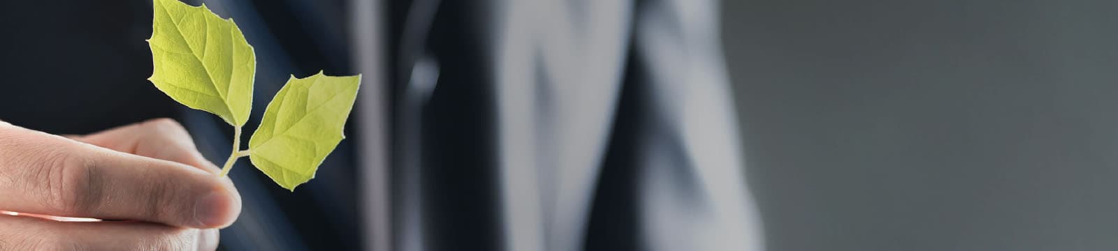 critérios de sustentabilidade social e ambiental