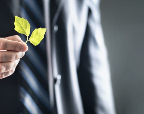 Como implementar no seu negócio?