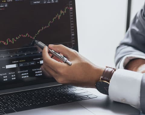 Sabe o que são e o que fazem?