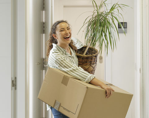 Tudo o que precisa saber