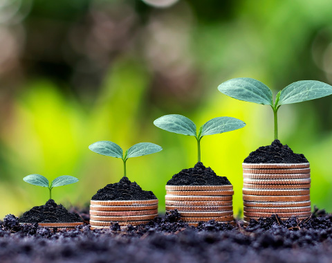 Quais os que pode subscrever?