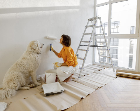 Quais os benefícios da garantia do Estado?