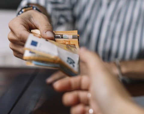 Quais são as regras oficiais?