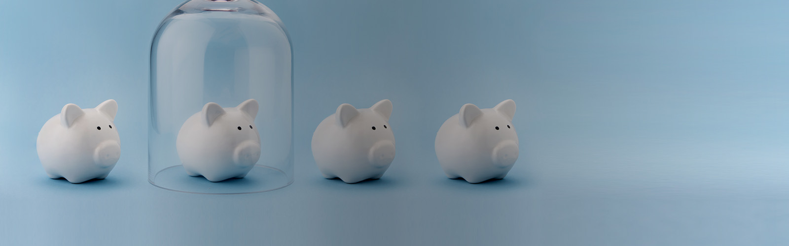 Seguro Social Voluntário