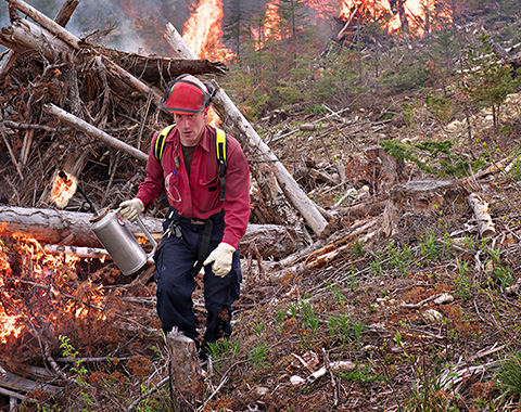 Quem o deve garantir?