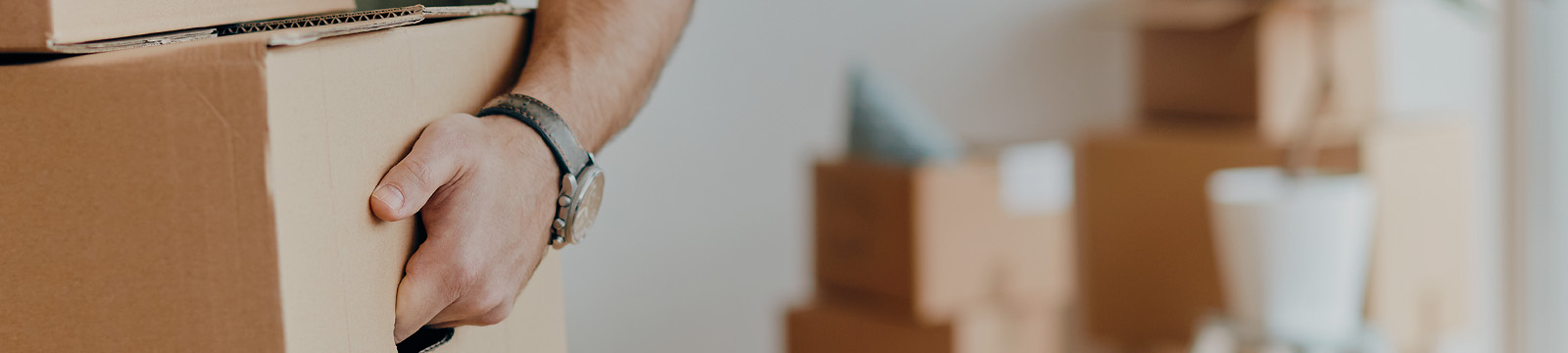 Seguros para imóvel alugado