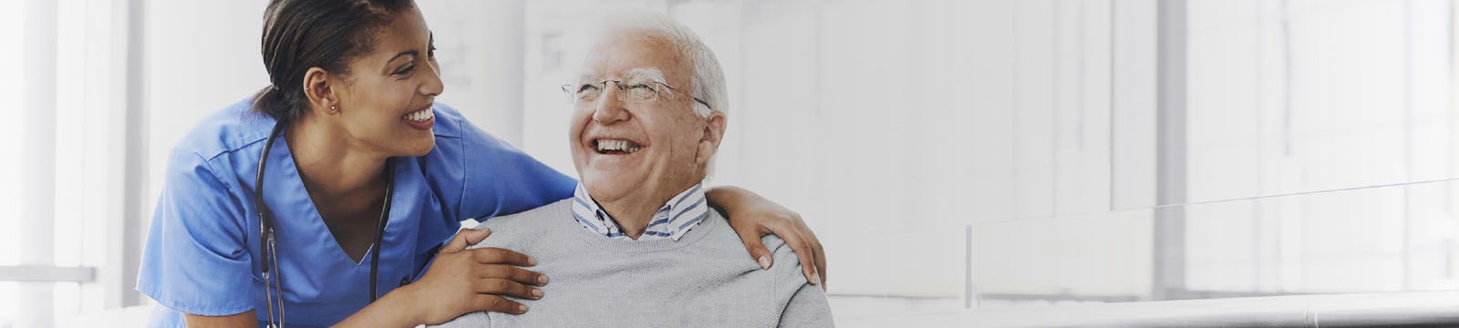 apoios sociais para idosos