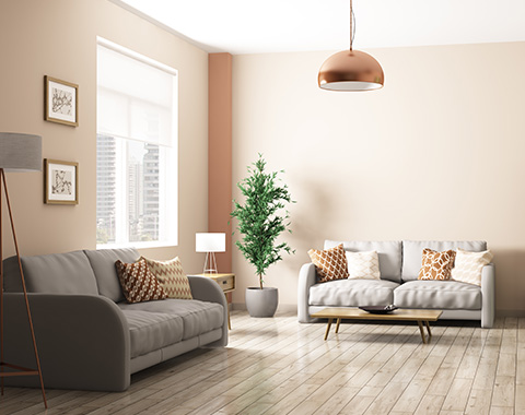 Opções de Seguros para a casa