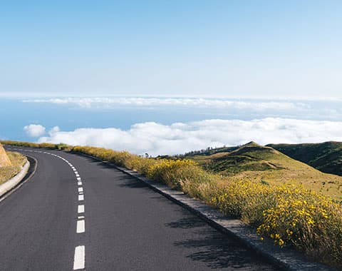 Programa de incentivos