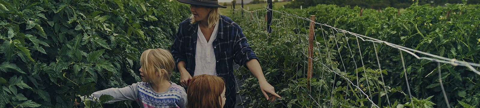 trabalhar na Agricultura