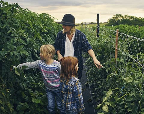 Largar tudo e ir para o campo?