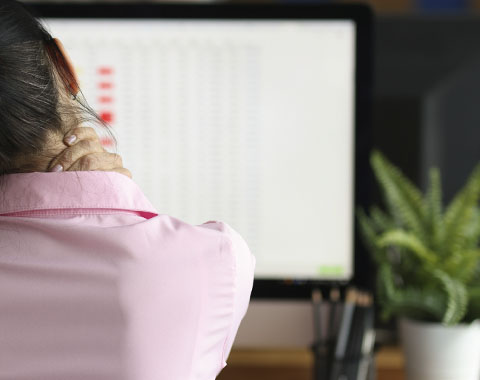 Com que apoios pode contar?