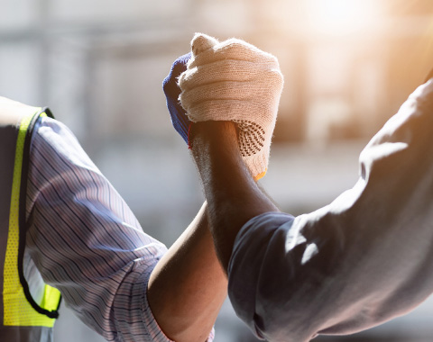 As regras e as novidades