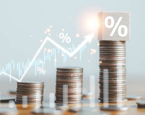 O que recebo e o que pago?