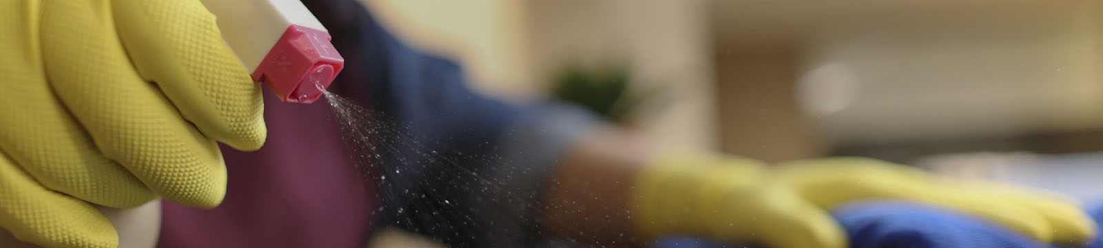 empregada doméstica