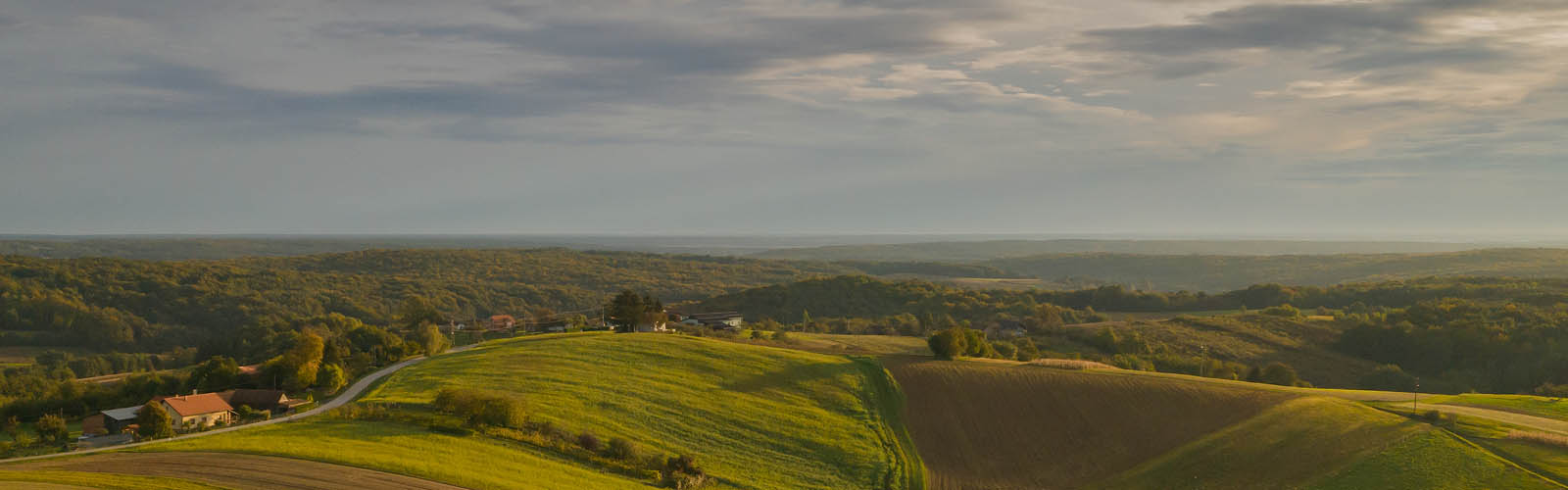 Paisagem campestre com cores vivas de verde fresco ao fundo