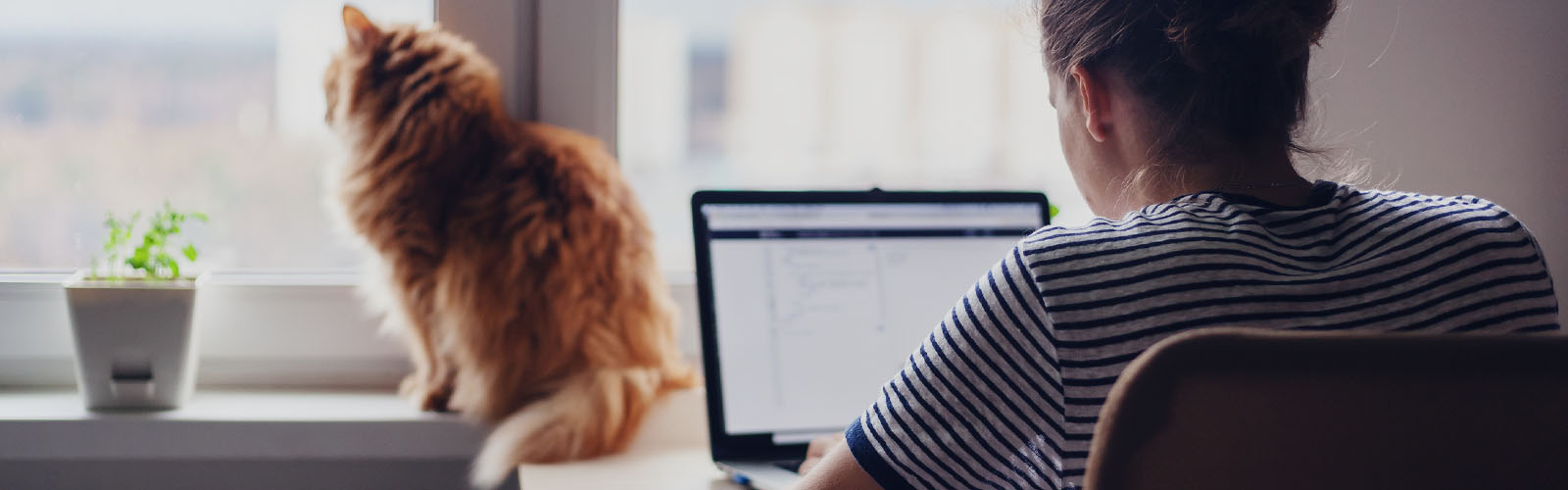 Trabalhar por conta própria