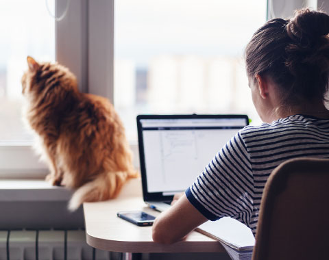 Os passos a dar para começar