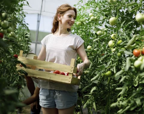 Quais os deveres e direitos?