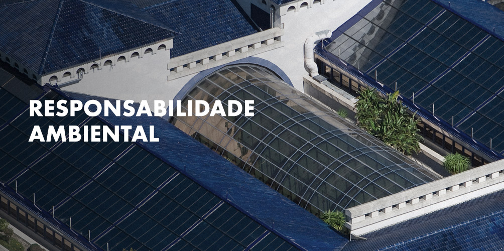 Responsabilidade Ambiental