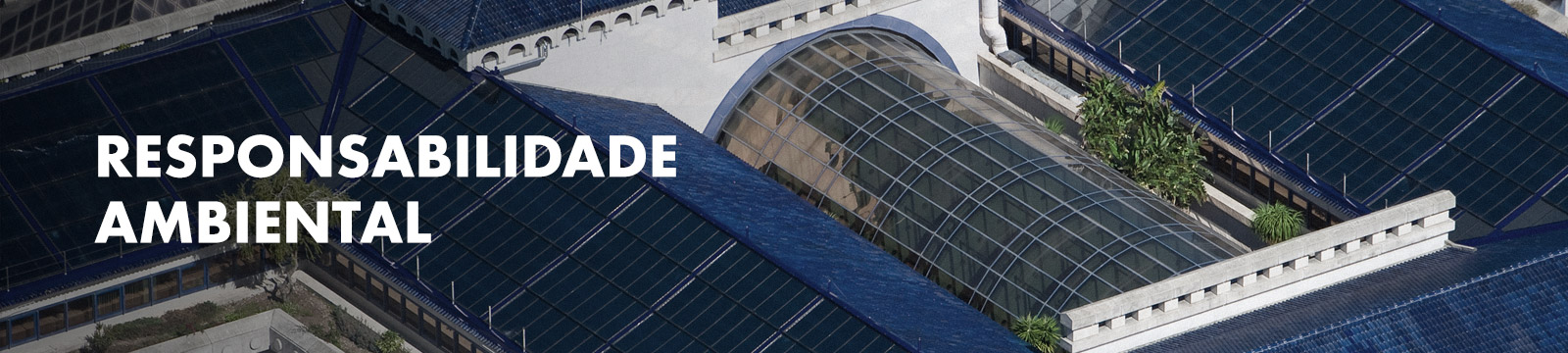 Responsabilidade Ambiental